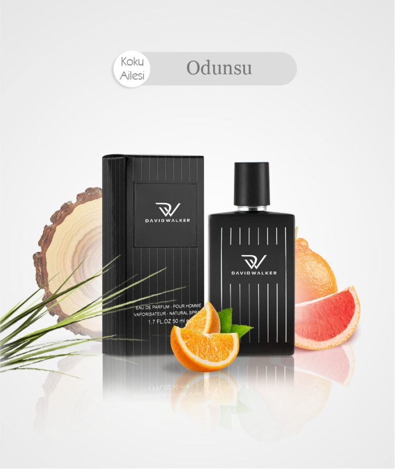 Exclusive Collection-E-138 DW 100 ML