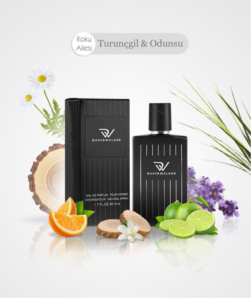 Exclusive Collection-E-054 DW 100 ML